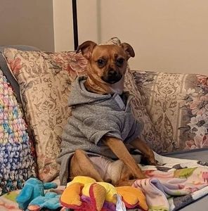 Meet your Posher, Deborah